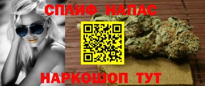 mdpv Краснознаменск