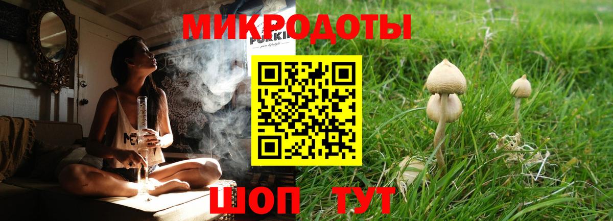 Псилоцибиновые грибы GOLDEN TEACHER Киселёвск